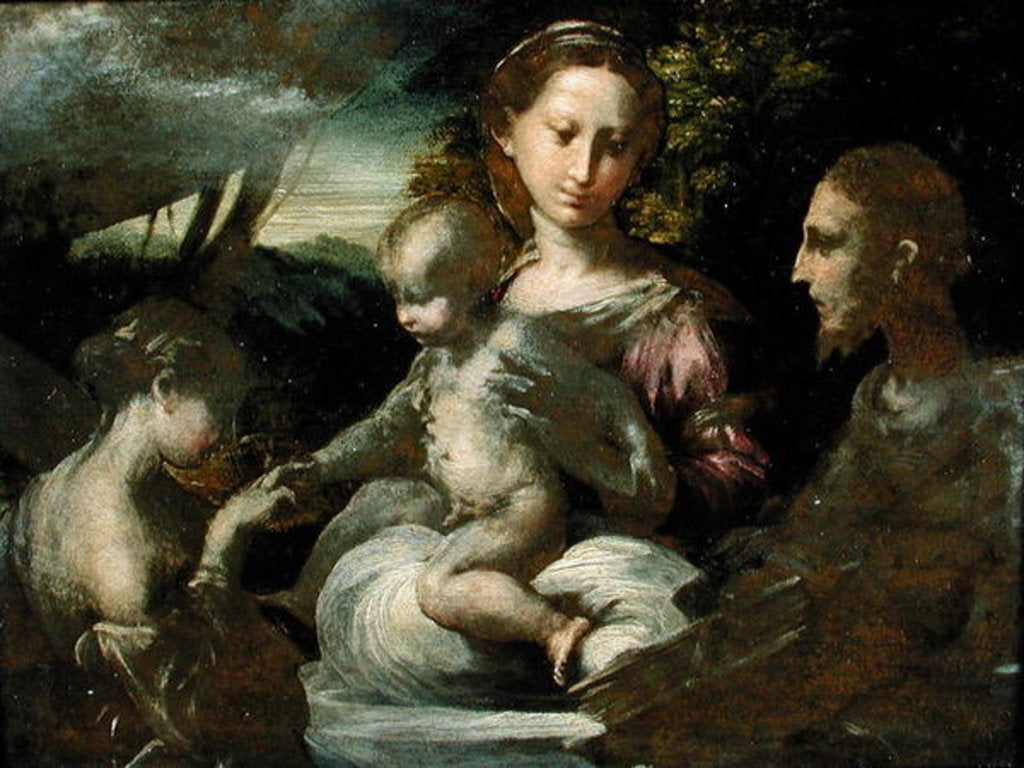 Detail of Study for The Mystic Marriage of St. Catherine, c.1527 by Parmigianino