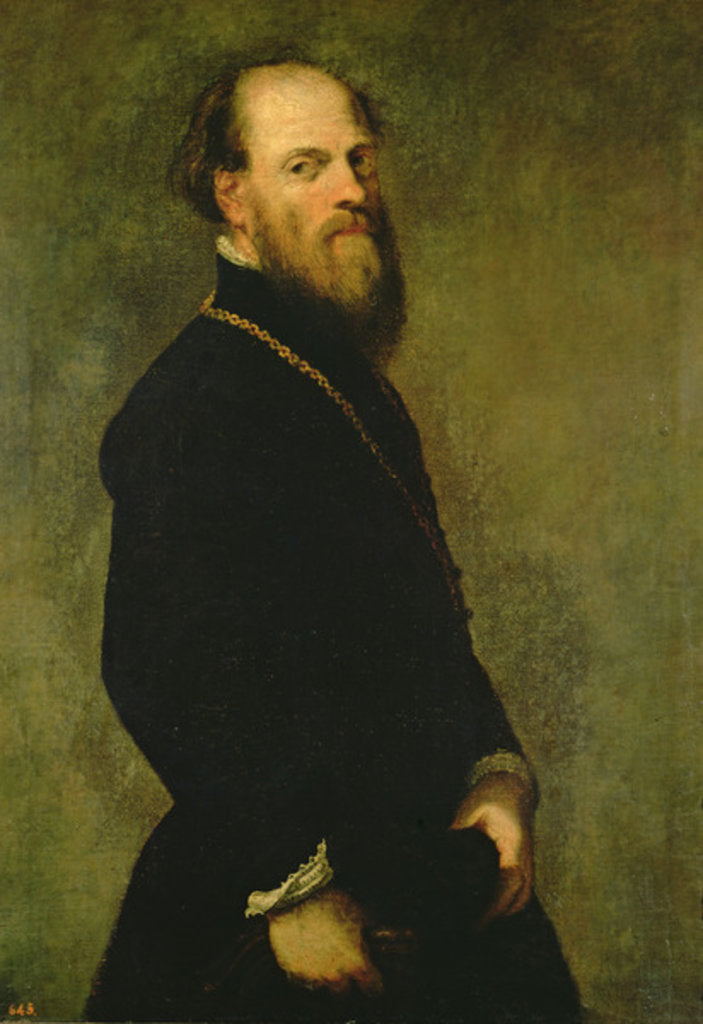 Detail of The Man with the Gold Chain, c.1550 by Jacopo Robusti Tintoretto