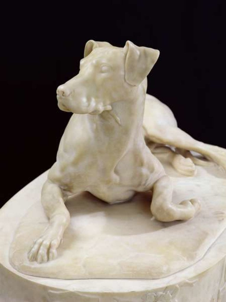 Detail of A Dog, 1827 by Pierre-Francois-Gregoire Giraud