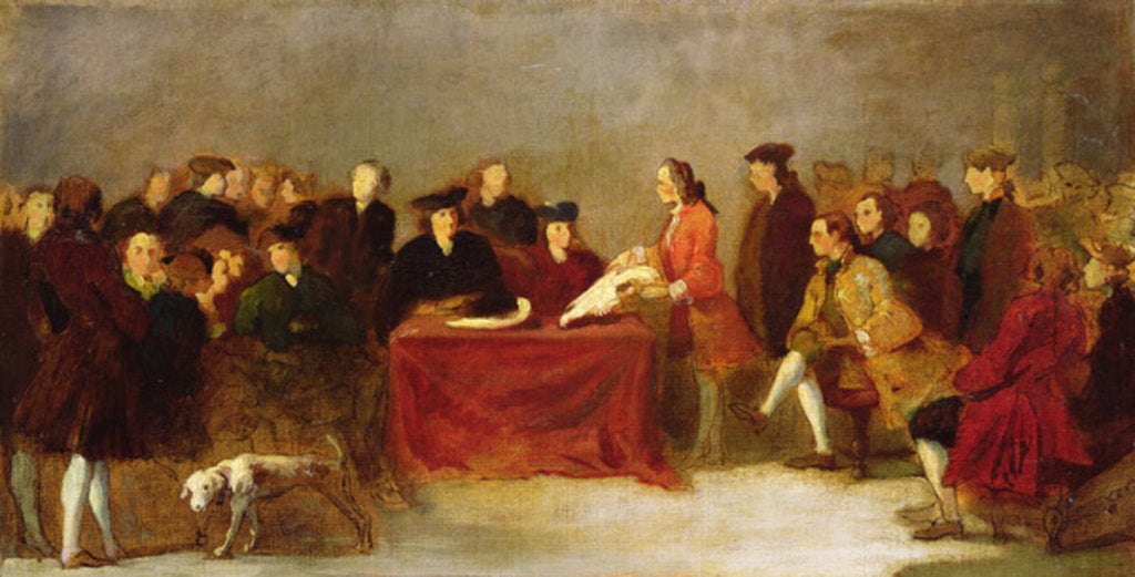 Detail of Meeting of the Academy or, Natural History Examination in Venice by Italian School