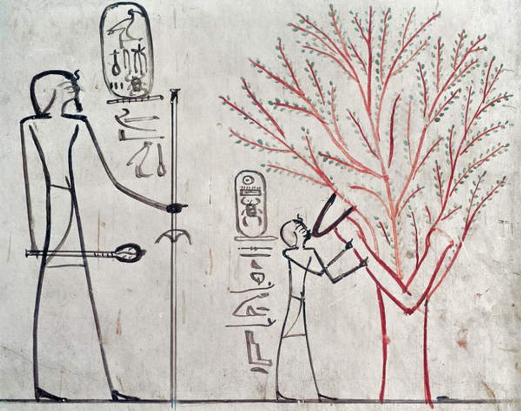 Detail of Isis metamorphosed into a sycamore tree suckling Tuthmosis III by Egyptian 18th Dynasty