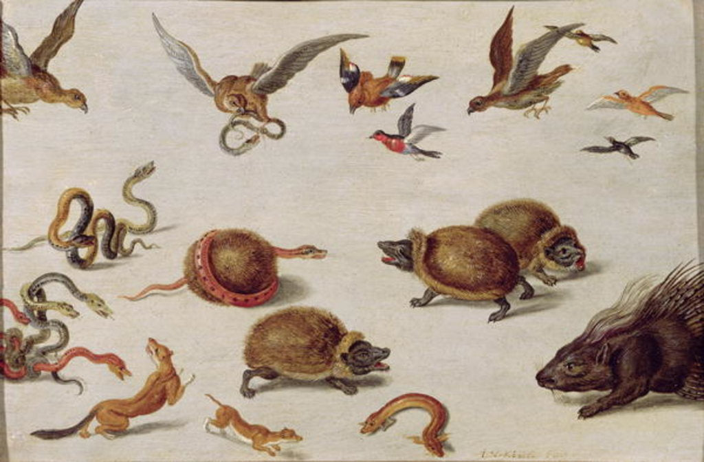 Detail of The Enemies of Snakes by Jan van the Elder Kessel