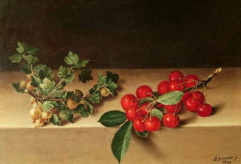 Detail of Fruit on the Table, 1644 by Francis Garnier