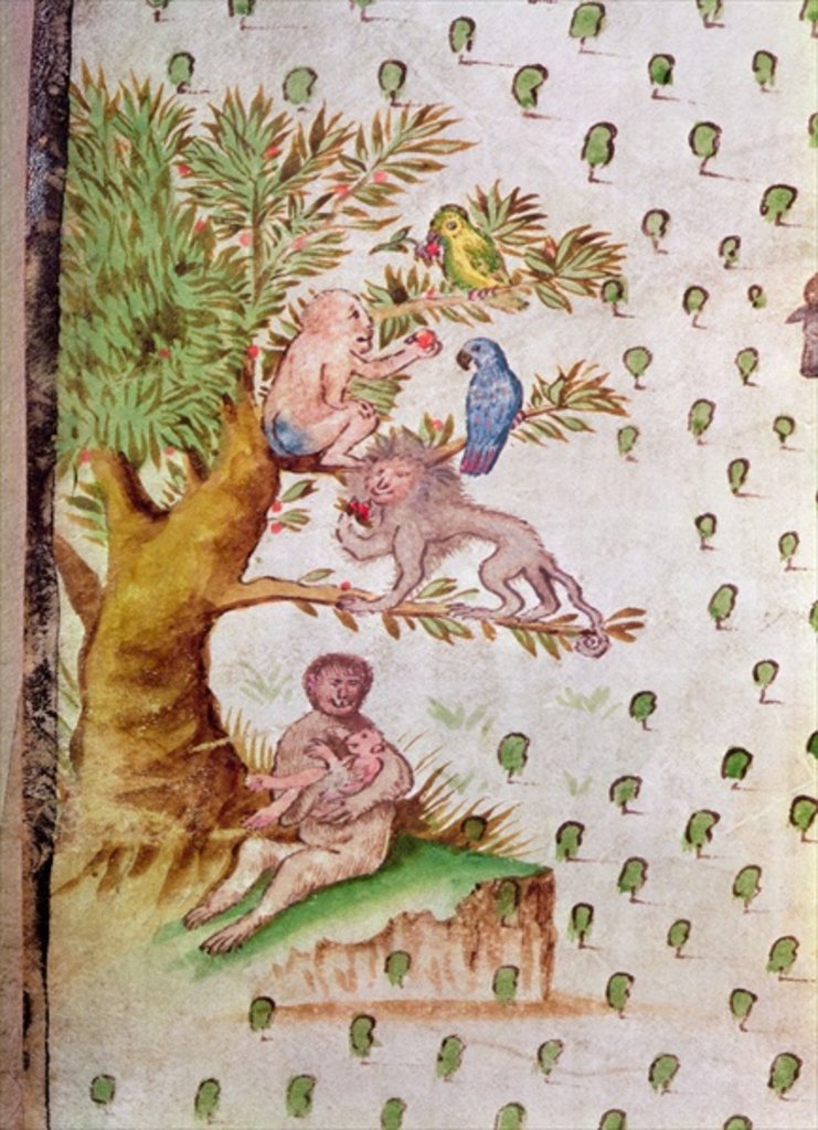 Detail of Map of the St. Lawrence Estuary, detail of parrots and monkeys by French School
