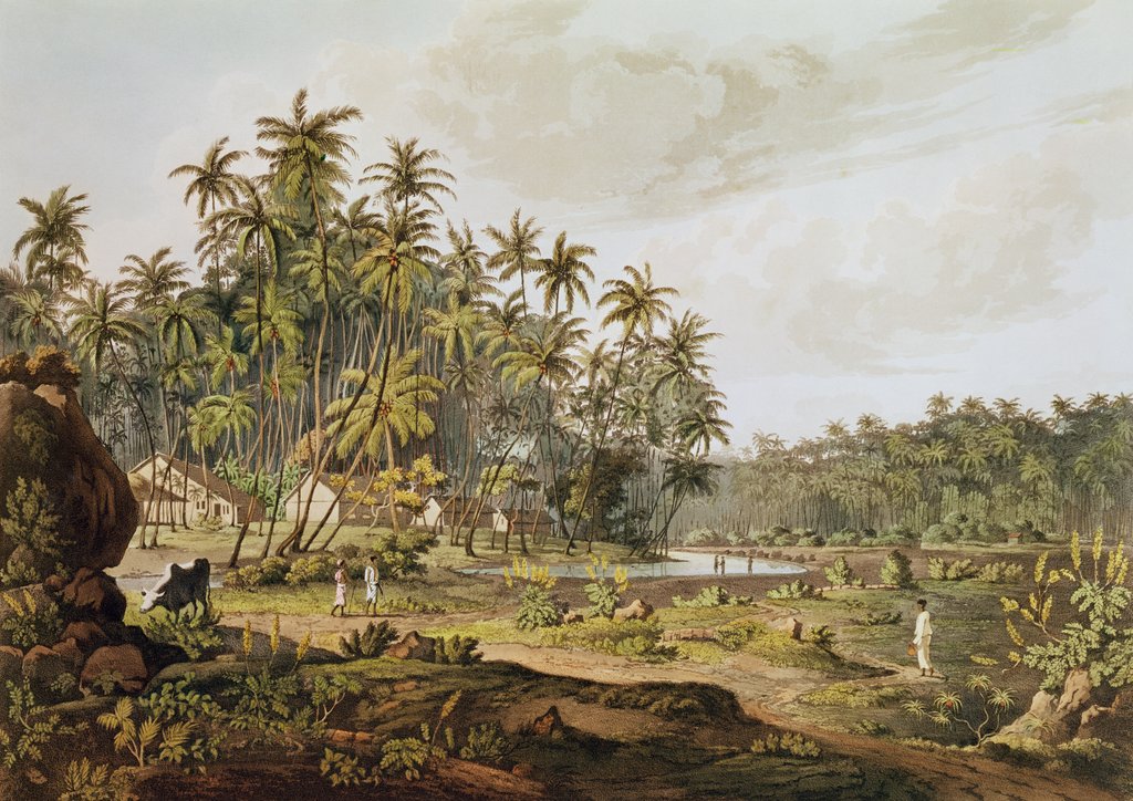 Detail of View near Point du Galle, Ceylon by Henry Salt (after)