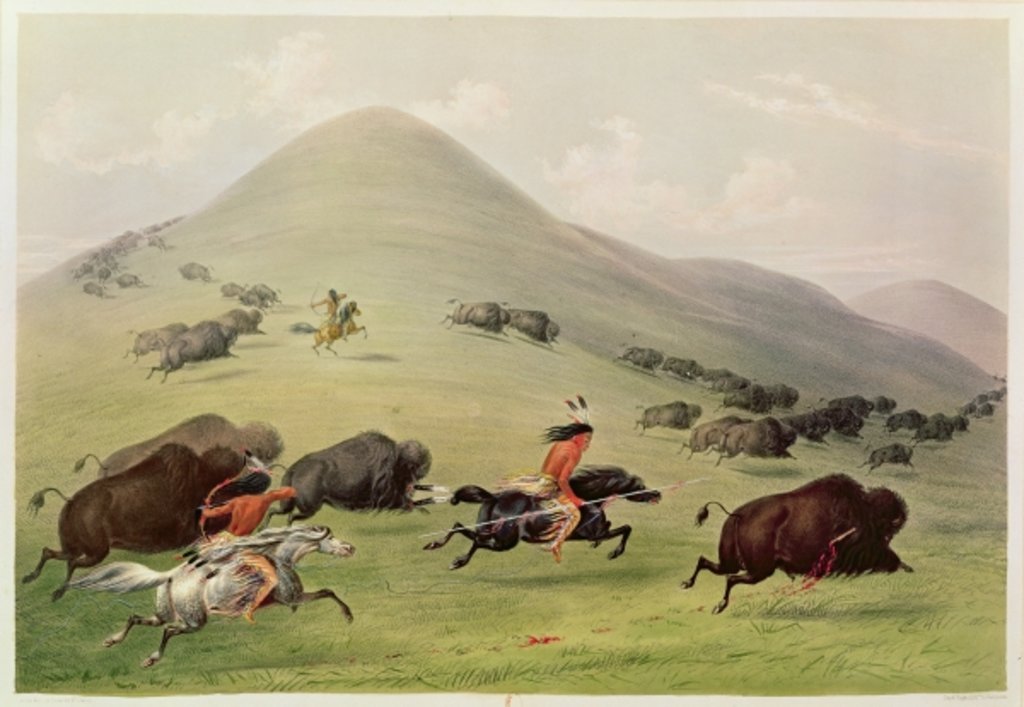 Detail of The Buffalo Hunt, c.1832 by George Catlin