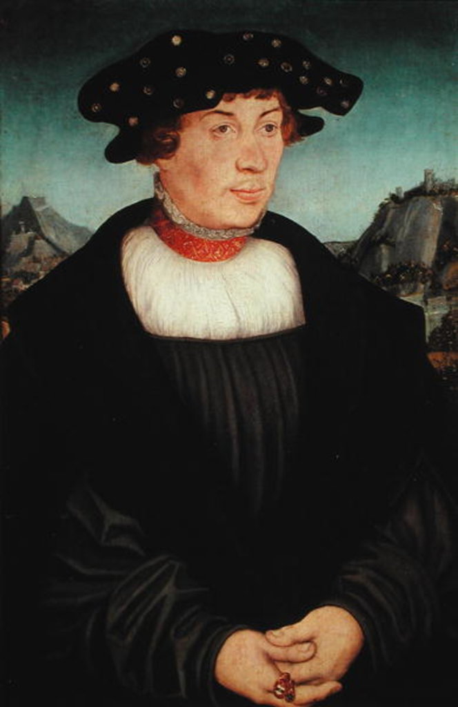 Detail of Portrait of Hans Melber, 1526 by Lucas the Elder Cranach