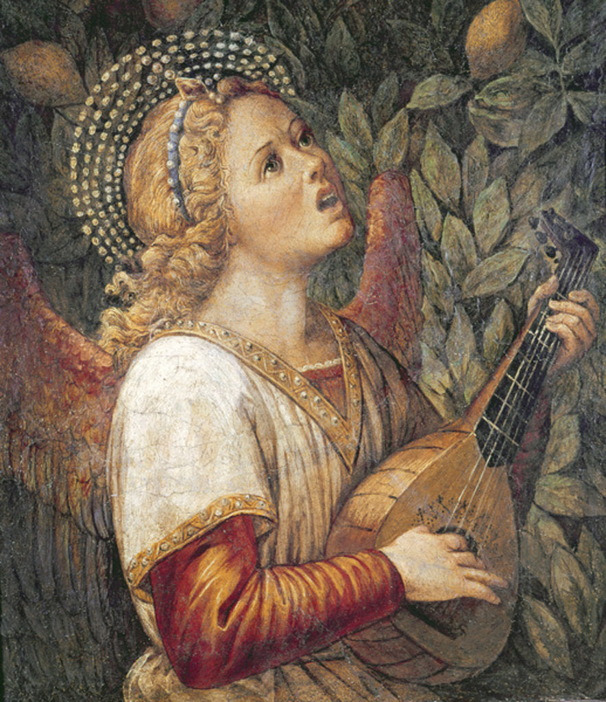 Detail of Angel Musician by Melozzo da Forli