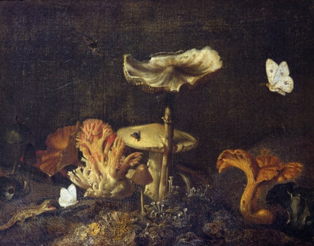 Detail of Still Life with Mushrooms and Butterflies by Otto Marseus van Schrieck