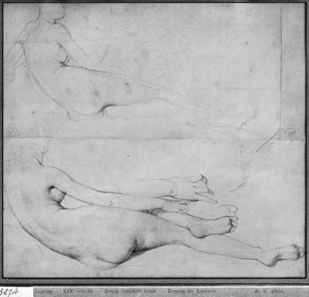 Detail of Studies for The Grande Odalisque by Jean Auguste Dominique Ingres