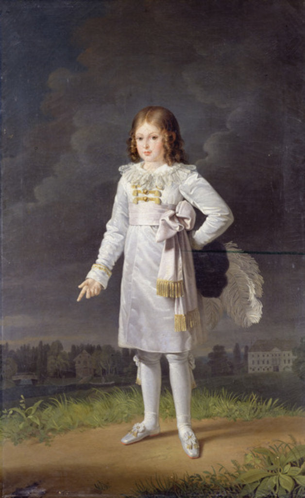 Detail of Frederic-Napoleon Prince Bacciochi, 1819 by Barbara Krafft