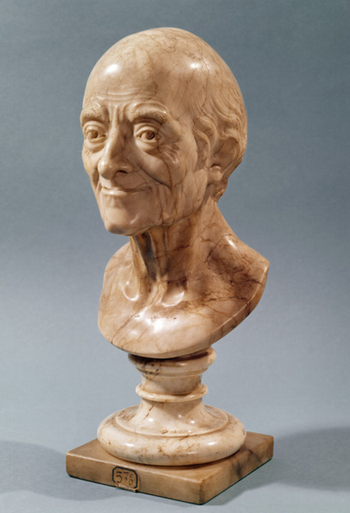 Detail of Bust of Voltaire by Francois Marie Rosset
