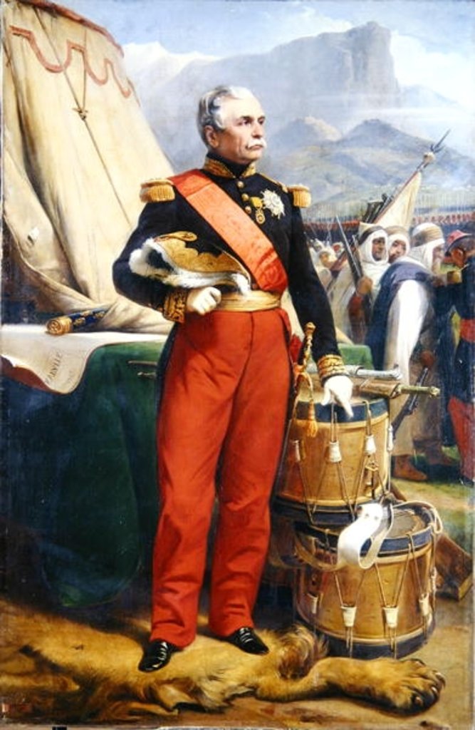 Detail of Count Jacques-Louis-Cesar-Alexandre de Randon Marshal of France, 1857 by Emile Jean Horace Vernet