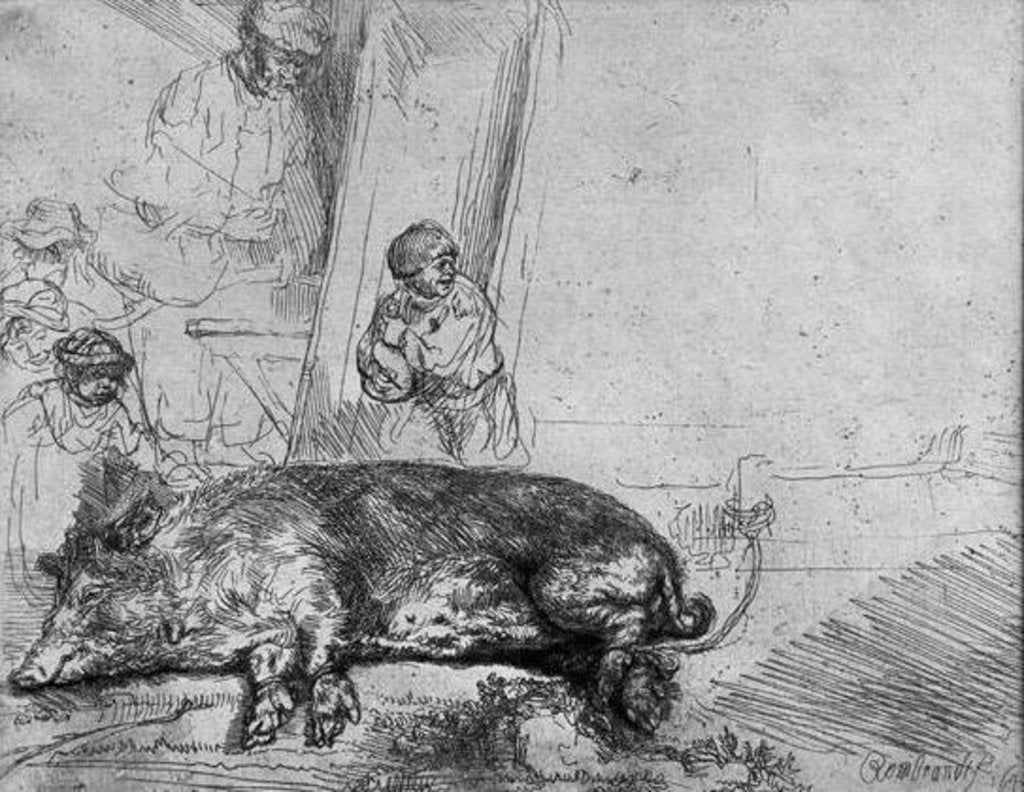 Detail of The Sow, 1643 by Rembrandt Harmensz. van Rijn