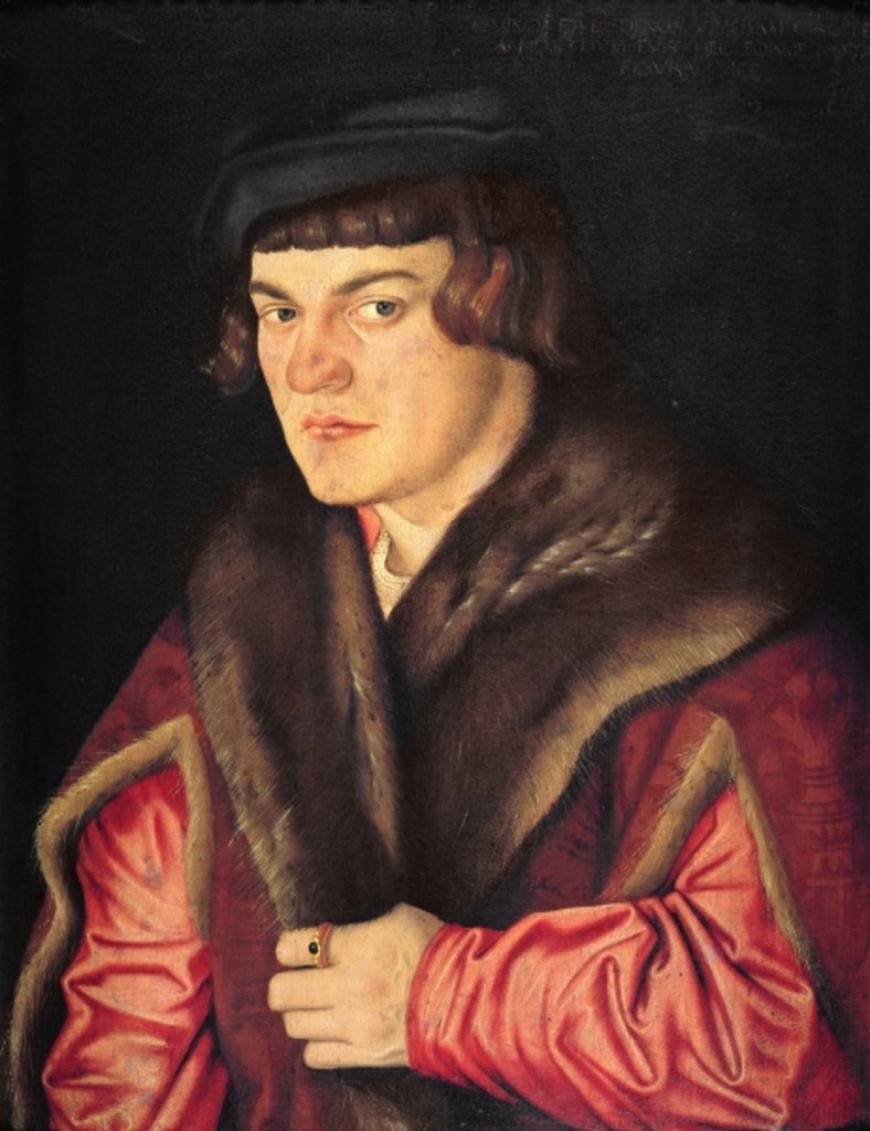 Detail of Portrait of a Man by Hans Baldung Grien