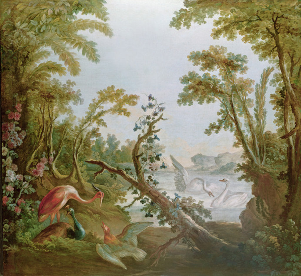 Detail of Lake with swans, a flamingo and various birds by Francois (studio of) Boucher