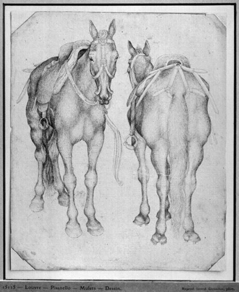 Detail of Two horses by Antonio Pisanello