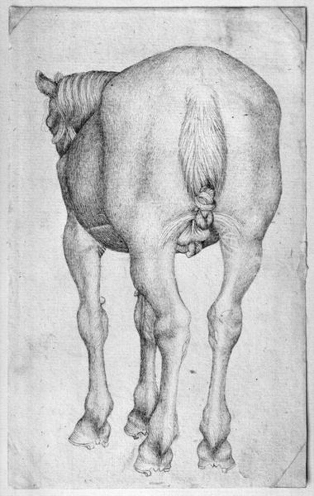 Detail of Horse by Antonio Pisanello