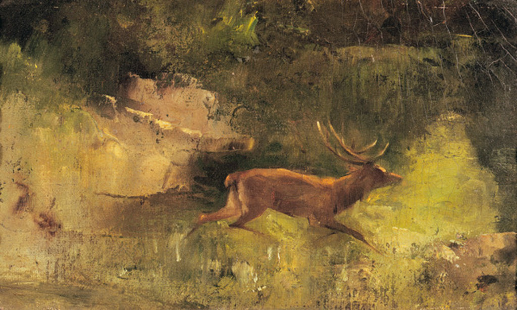 Detail of Stag Running through a Wood, c.1865 by Gustave Courbet