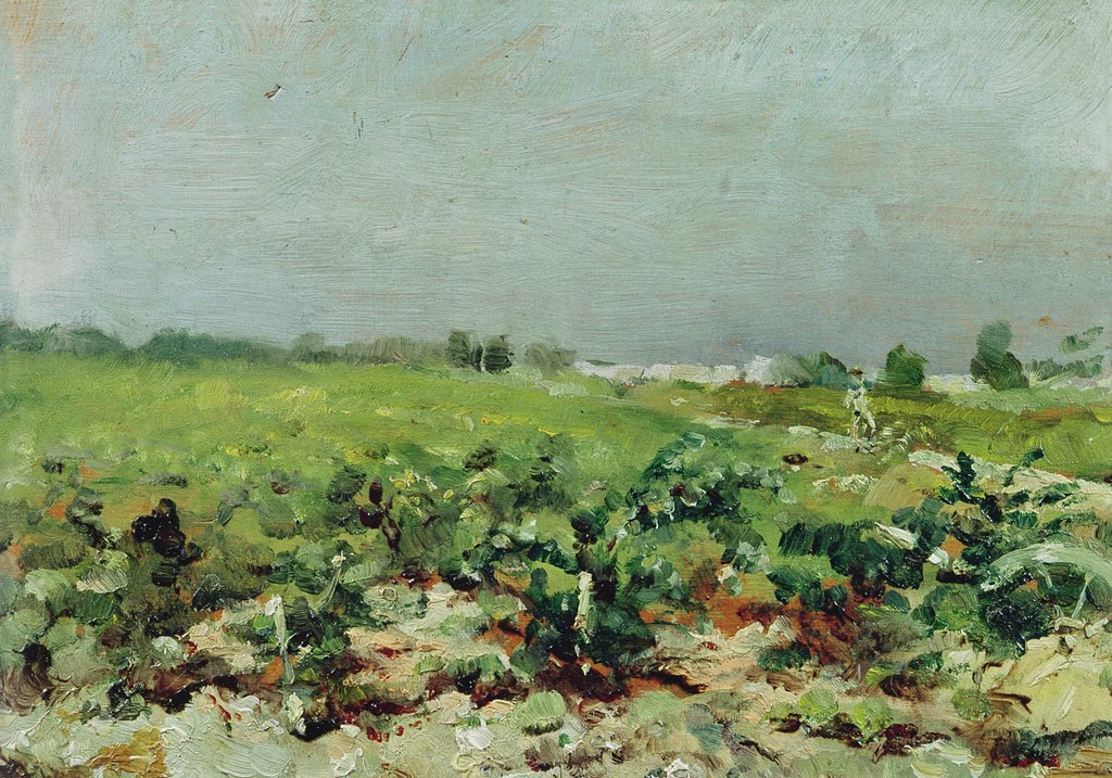 Detail of Celeyran, View of the Vineyard, 1880 by Henri de Toulouse-Lautrec