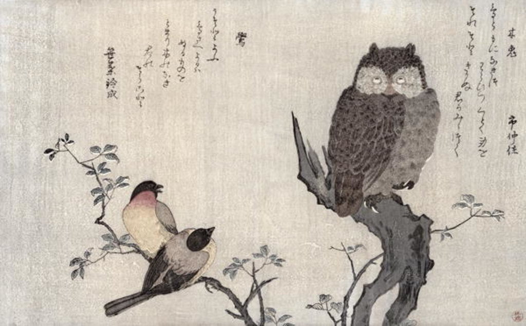 Detail of An Owl and two Eastern Bullfinches, Utamaro, 1791 by Kitagawa Utamaro