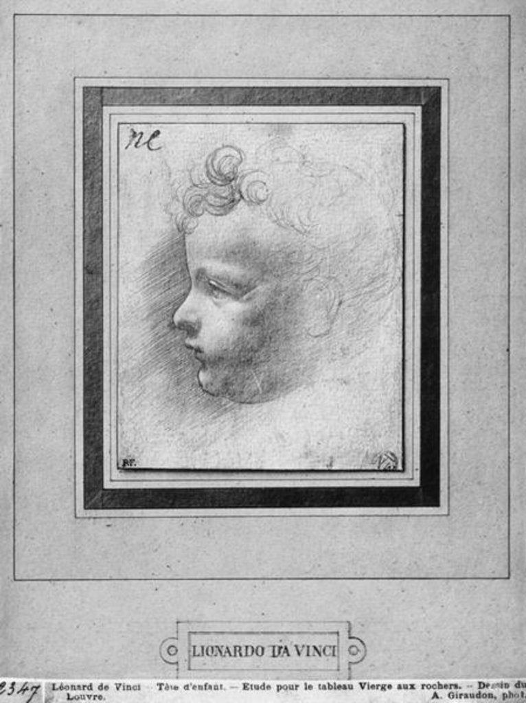 Detail of Head of a child by Leonardo da Vinci