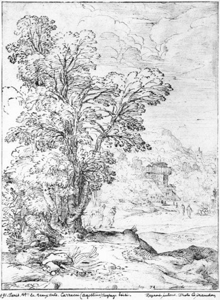 Detail of Wooded landscape by Agostino Carracci