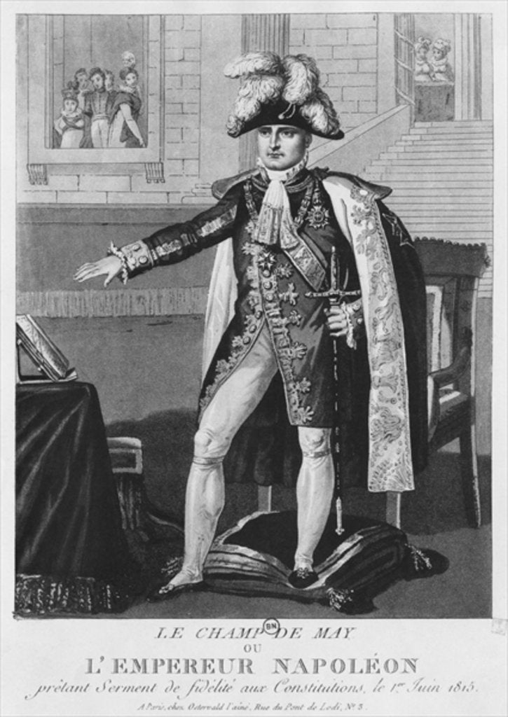 Detail of The 'Champ de Mai' or Emperor Napoleon I swearing fidelity to the Constitutions on 1st June 1815 by French School