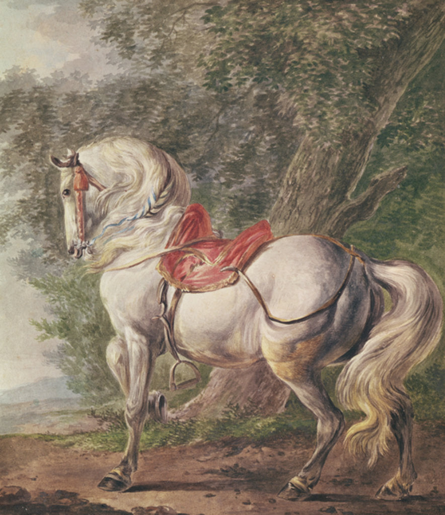 Detail of A White Horse by Philips Wouwermans or Wouwerman