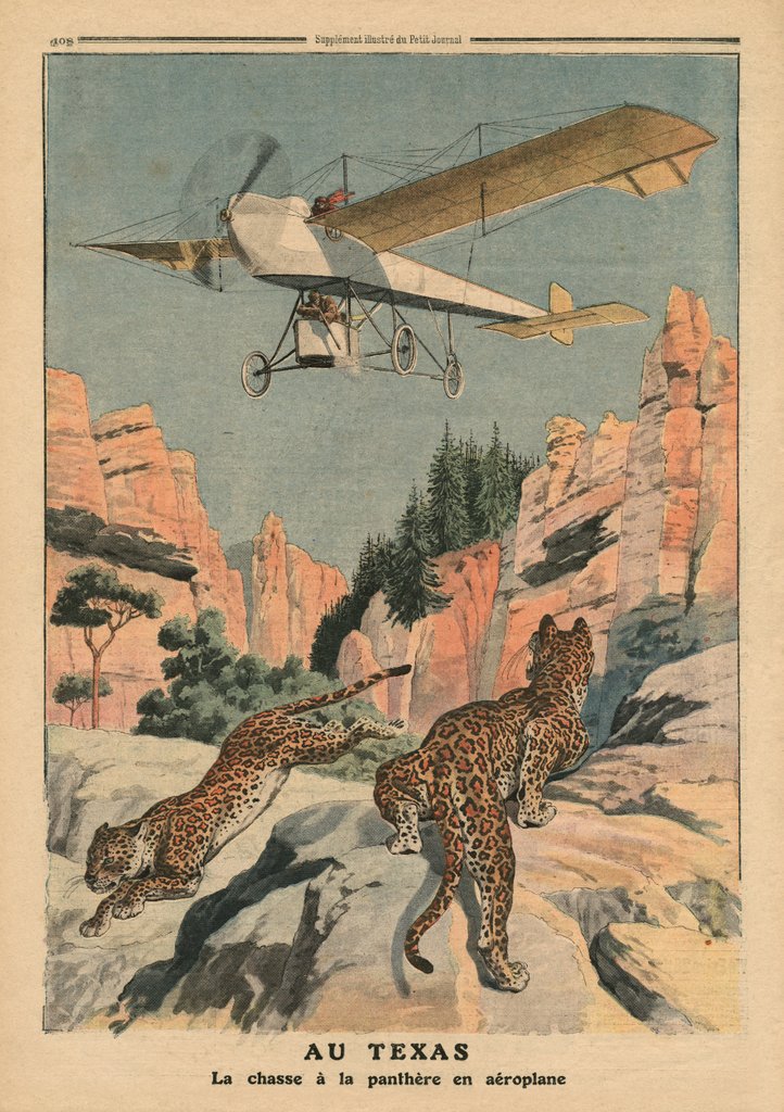 Detail of Hunting panthers from an airplane in Texas by French School