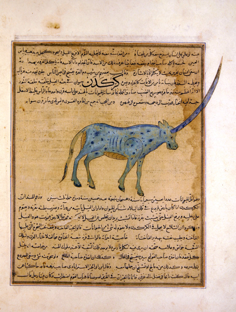 Detail of Ms E-7 fol.191b Rhinoceros by Islamic School