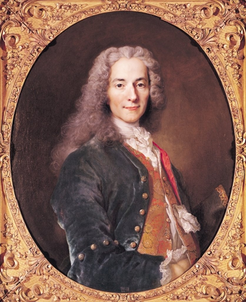 Detail of Portrait of Voltaire aged 23, 1728 by Nicolas de Largilliere