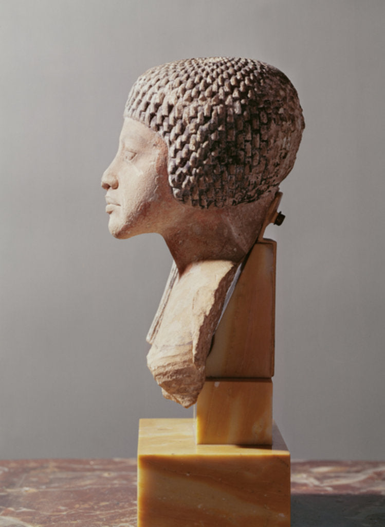 Detail of Left profile of the head of a Princess from the family of Akhenaten, New Kingdom by Egyptian 18th Dynasty