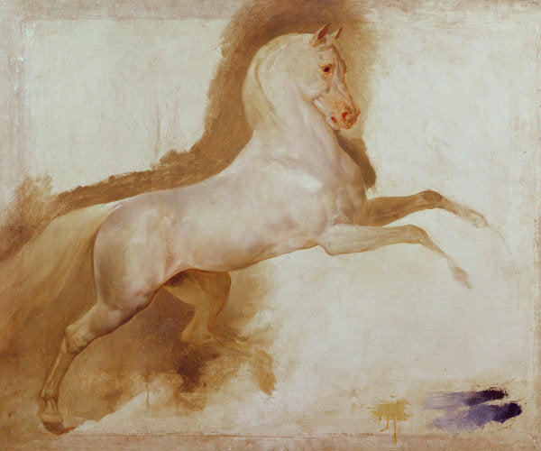 Detail of Horse of Joachim Murat, c. 1832 by Baron Antoine Jean Gros