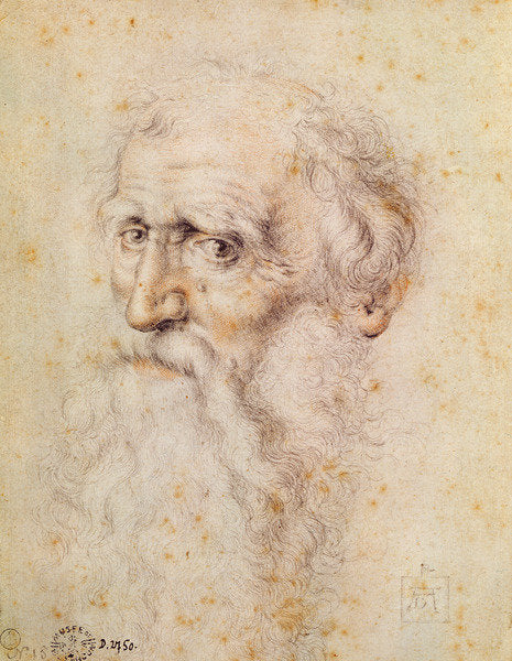 Detail of Portrait of a bearded old man by Albrecht Dürer or Duerer