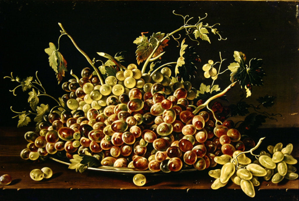 Detail of Still Life with a plate of grapes by Luis Egidio Menendez or Melendez