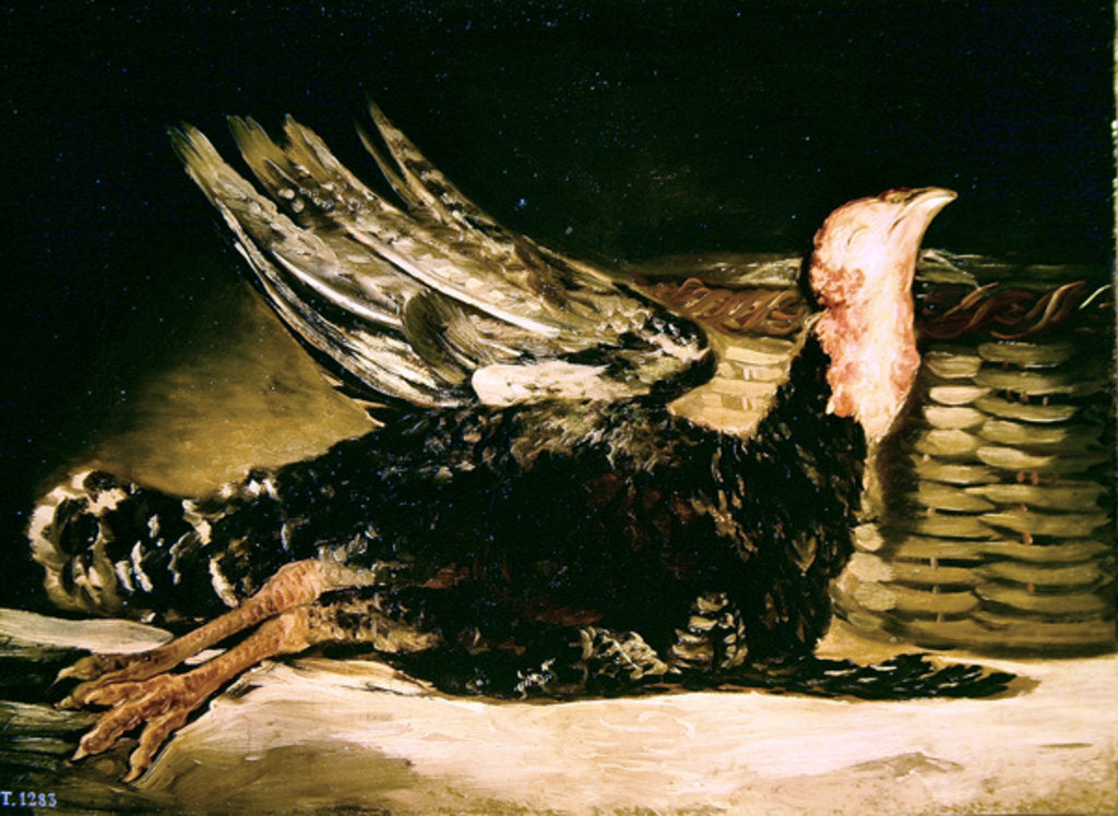 Detail of Still Life of a dead turkey and a wicker basket, 1806 by Francisco Jose de Goya y Lucientes