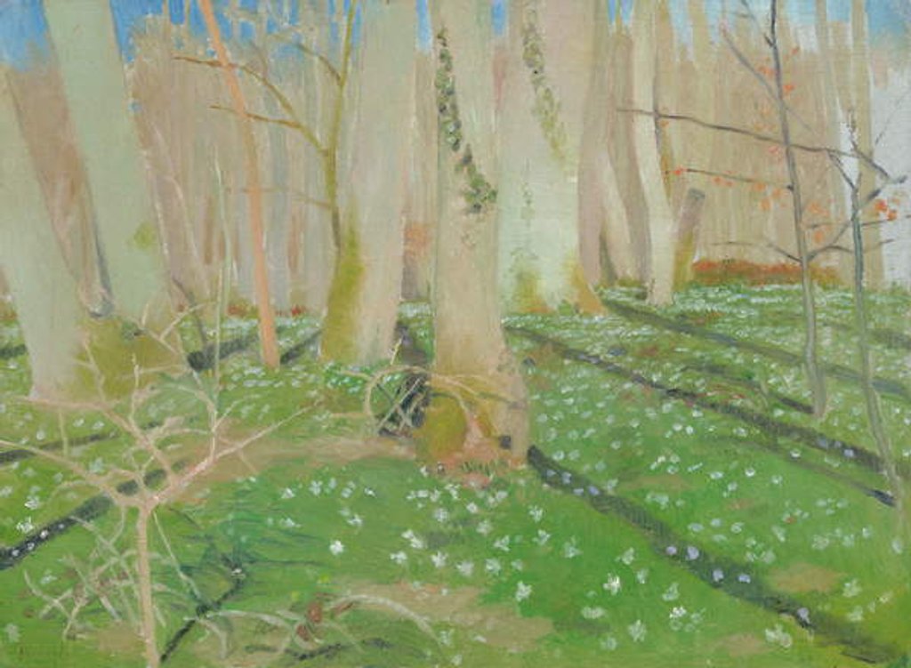 Detail of Forest with anemonies, 1889 by Maurice Denis