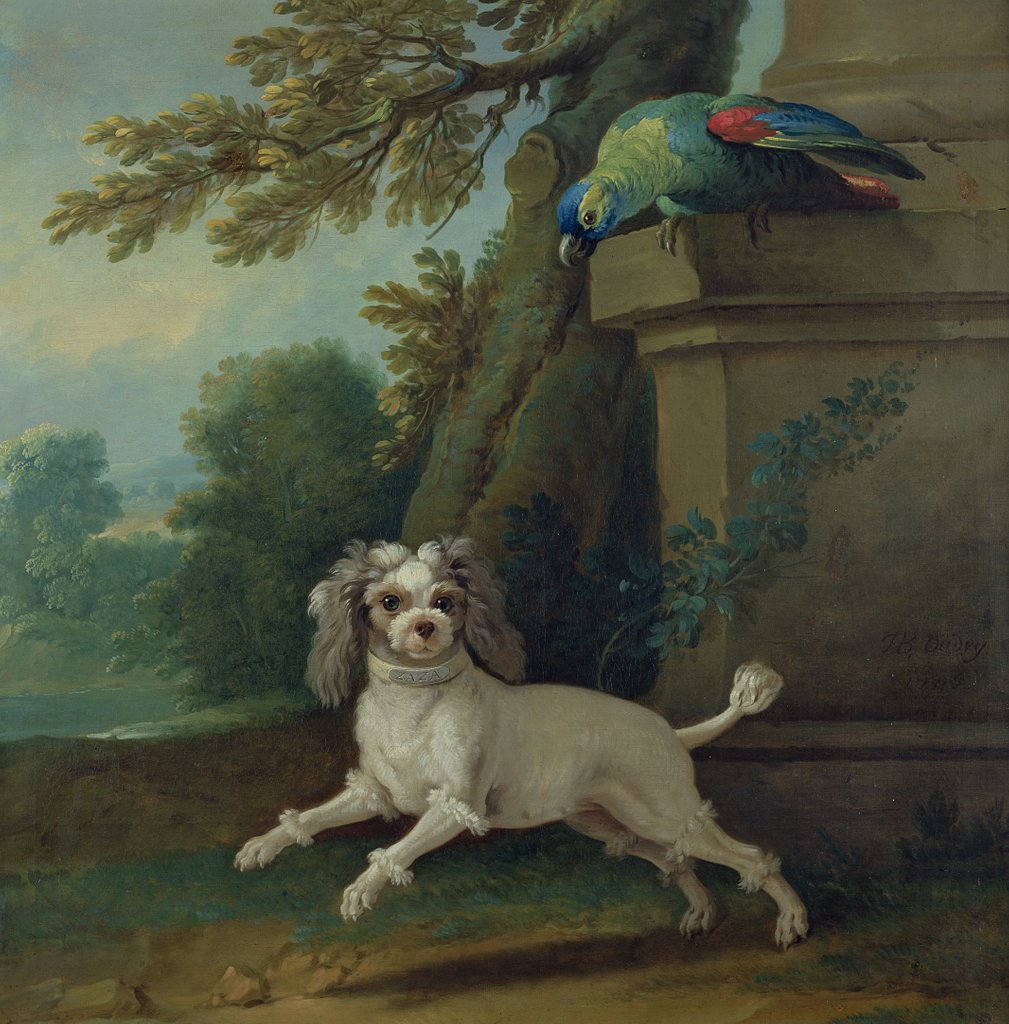 Detail of Zaza, the dog, c.1730 by Jean-Baptiste Oudry
