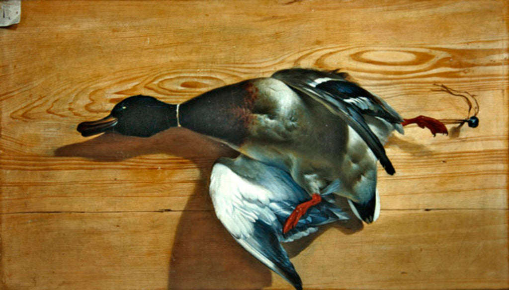 Detail of A duck on a pine board, 1753 by Jean Jacques Bachelier