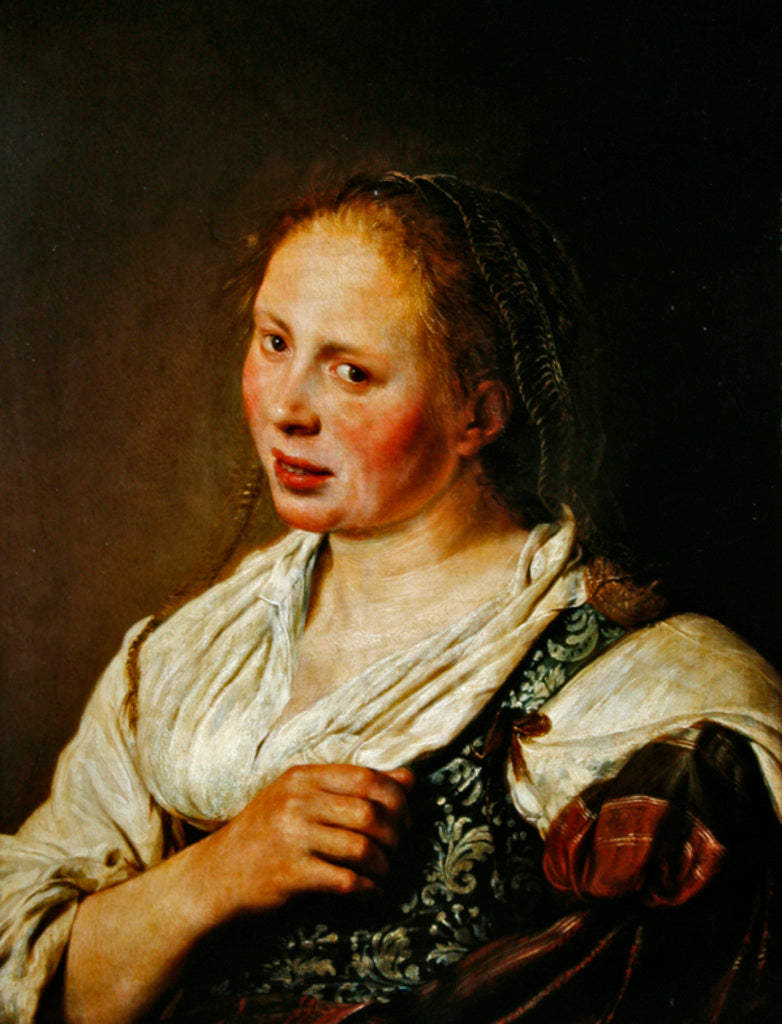 Detail of Painting of the young peasant by Salomon de Bray