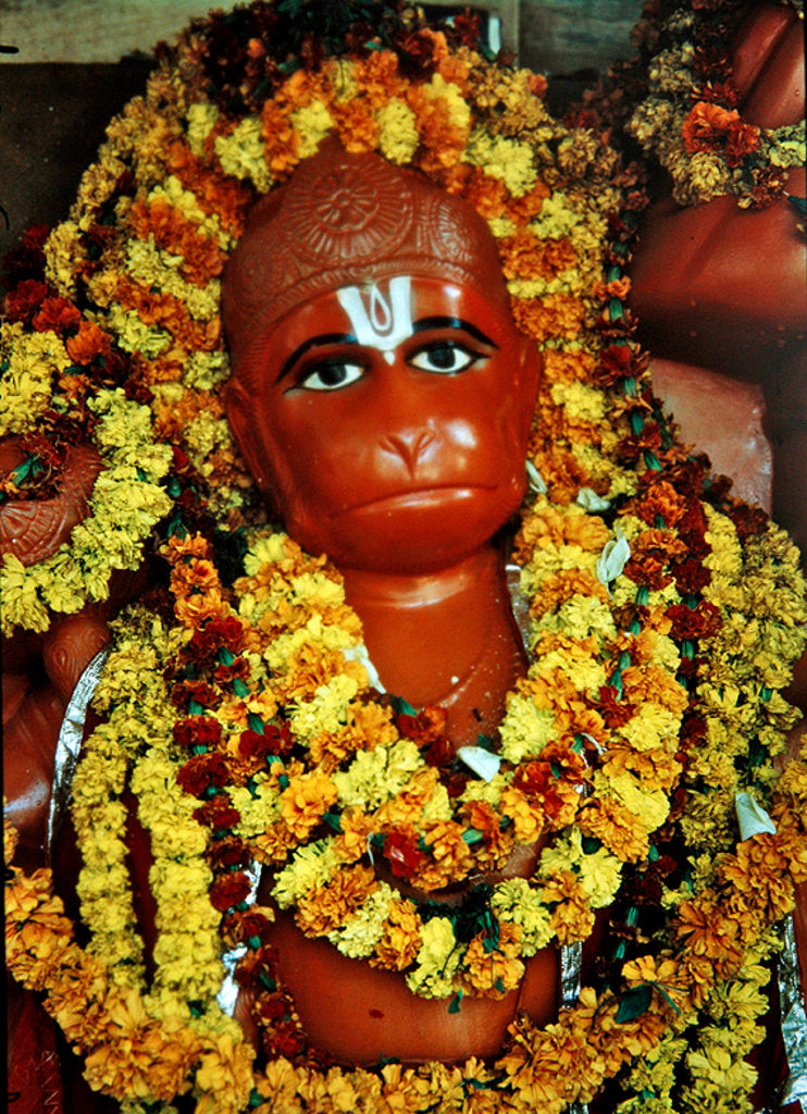 Detail of Hanuman, the Monkey God by School Indian