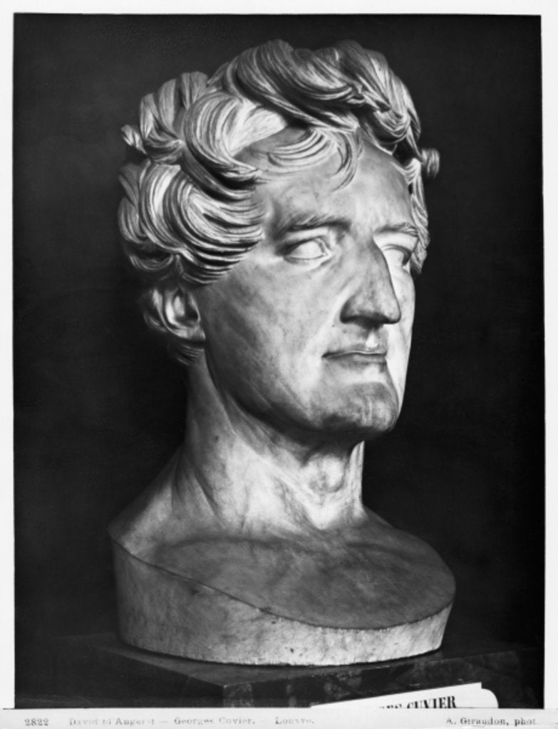 Detail of Georges Cuvier, 1833 by Pierre Jean David d'Angers