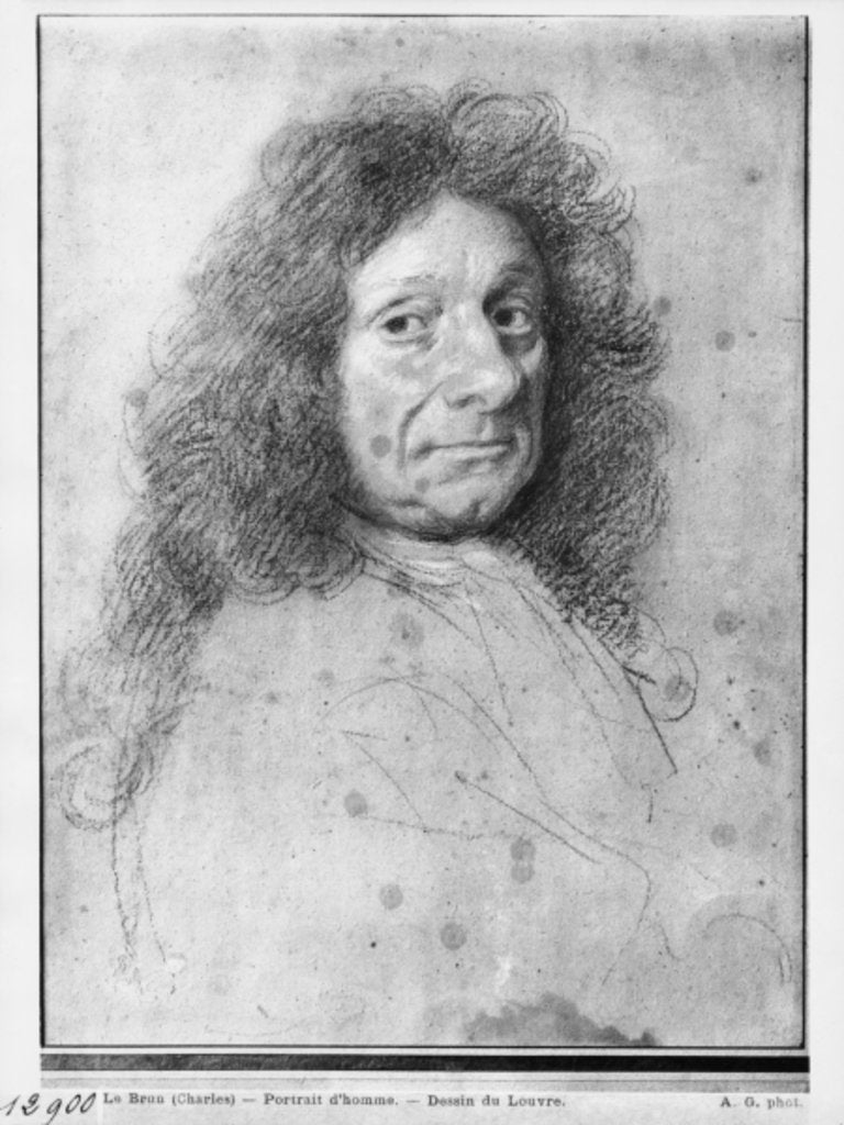 Detail of Portrait of a man, turned to the right by Charles Le Brun