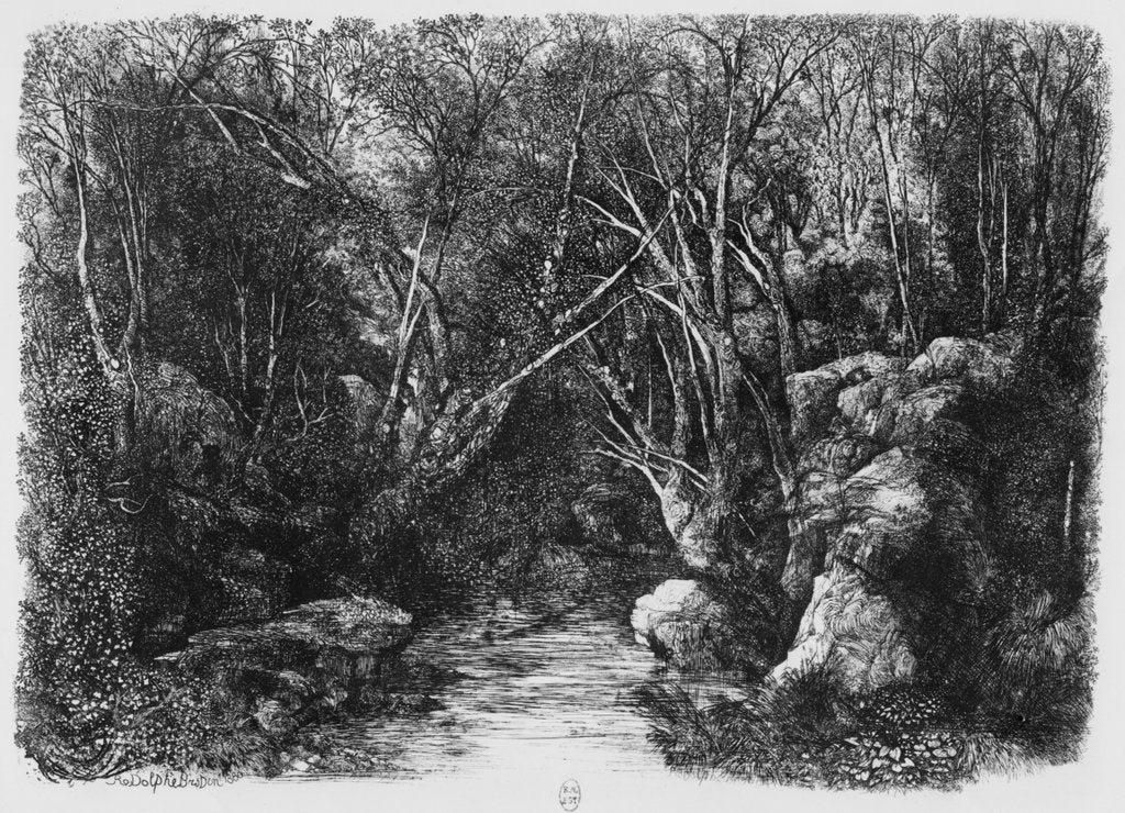 Detail of The Stream through the trees, 1880 by Rodolphe Bresdin