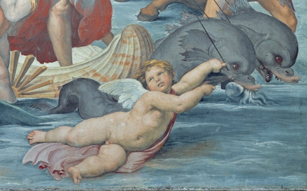 Detail of The Triumph of Galatea, 1512-14 by Raphael (1483-1520)