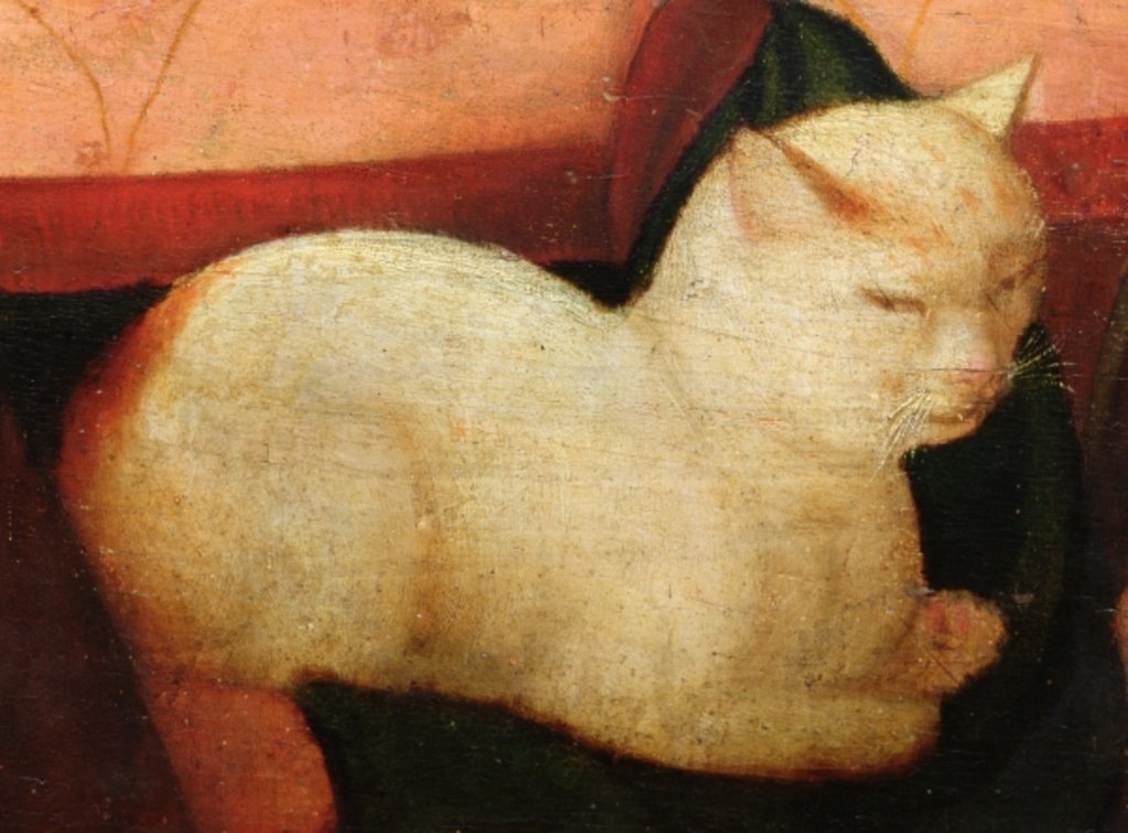 Detail of A white cat by Niccolo Frangipane