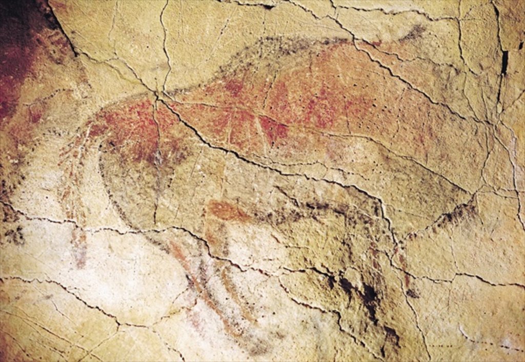 Detail of Bison from the Caves at Altamira, c.15000 BC by Prehistoric Prehistoric