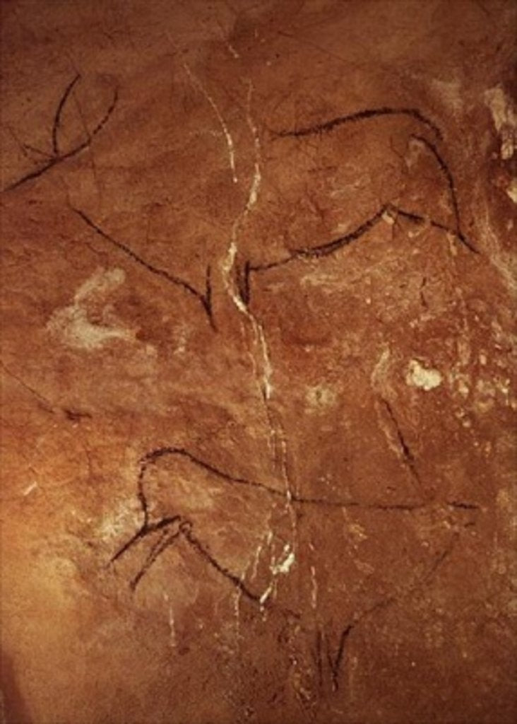 Detail of Two Stags by Prehistoric Prehistoric