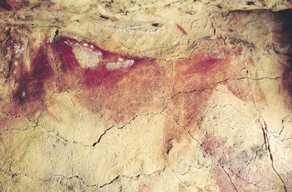 Detail of Representation of an animal, c.15000 BC by Prehistoric Prehistoric